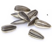 graines de tournesol